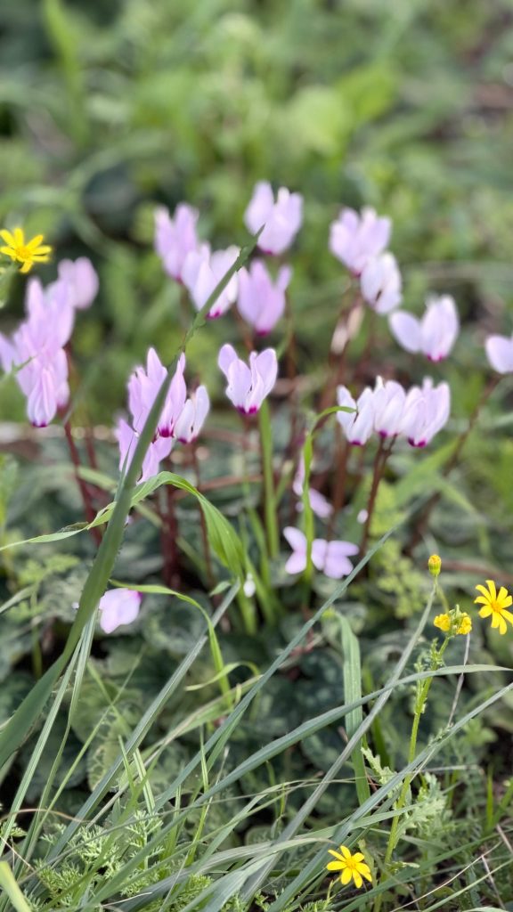 0657f1fb d2fb 4d08 a190 525e5fa87b7a