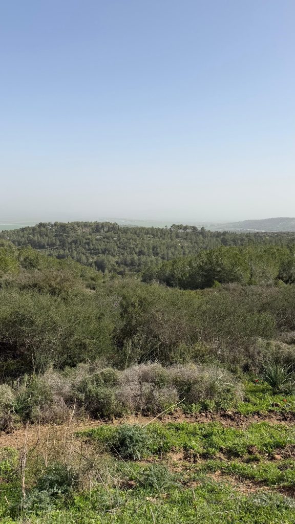 0AC397E1 8B40 405C 89ED 1FA55CEAD45B