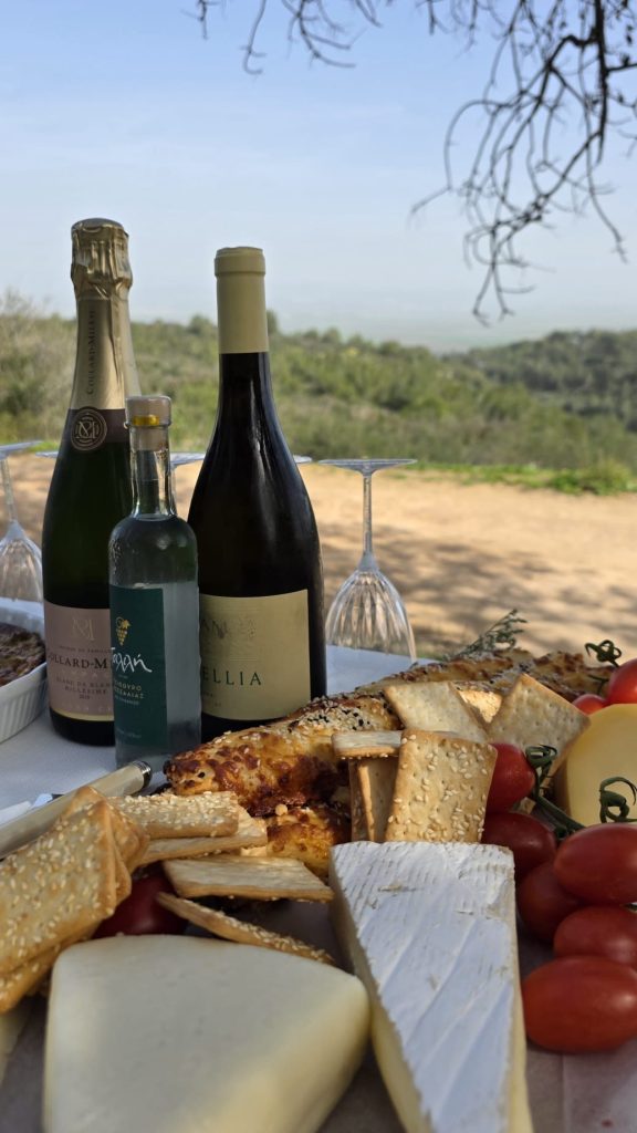 210c8f67 699d 4829 9705 b63696bde3e6