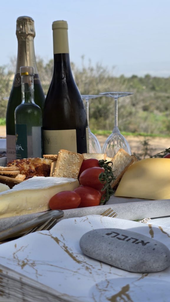 8e447a5a 6c90 4322 b223 6343b3bf5509