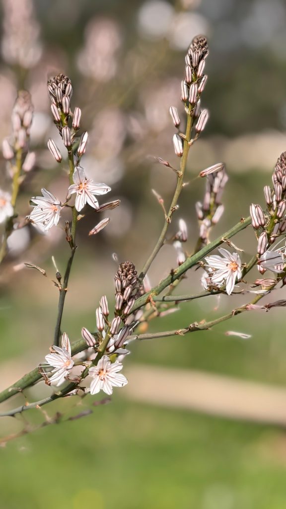 96400f0c dc40 4440 9ec9 c6778e62e894