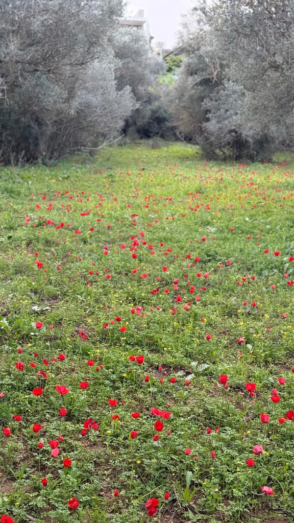 ace8a615 976e 410a 80ed 5109b6fb9187